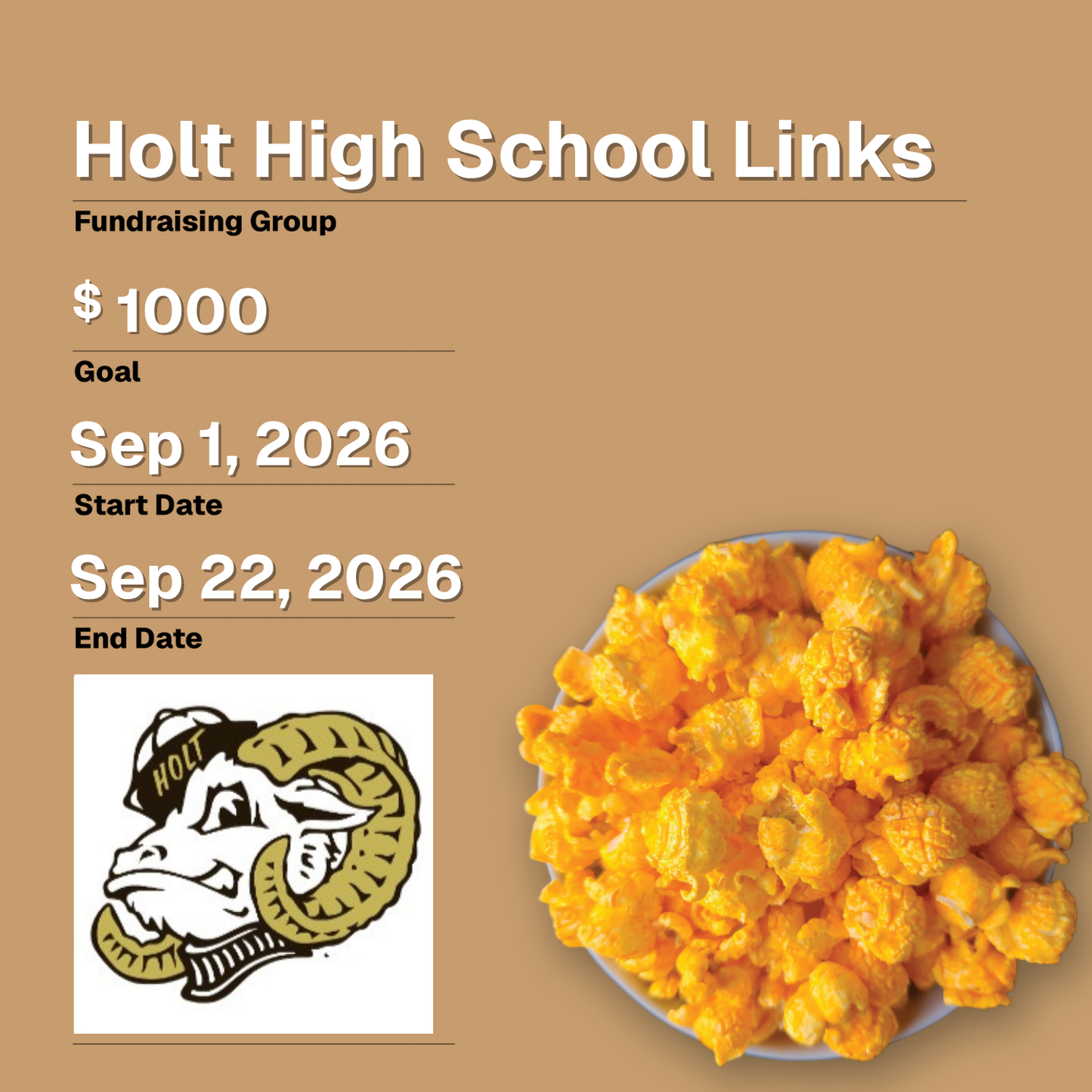 Holt High School Links